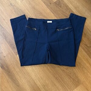 Style & Co Navy Blue Pants with Zipper Details